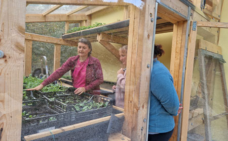 Aromaterapija in zelišča za zdravje in vitalnost domačega okolja